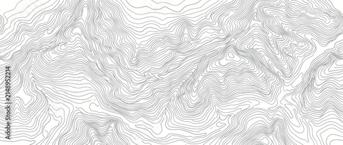 Topographic Contour Lines Map Isolated