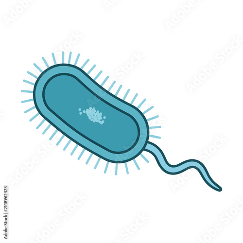 Bacillus Bacteria Cell With Flagellum Vector Illustration