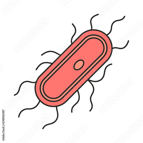 Rod Shaped Bacillus Bacteria With Flagella Vector Illustration