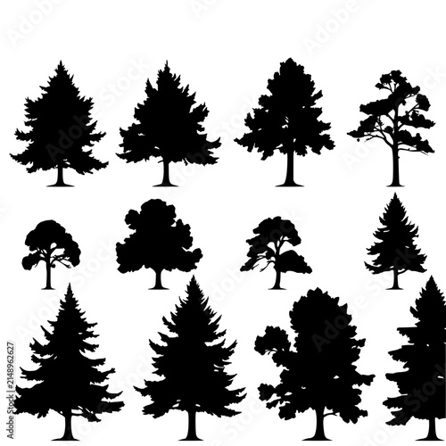 Tree silhouettes set with eight distinct black and white minimalist vector illustrations arranged in two rows of four featuring broadleaf, coniferous, canopy with silhouette and vector