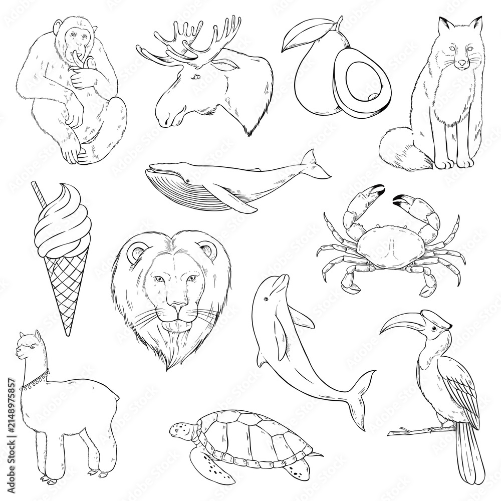 Fototapeta premium Png animal sticker set black and white illustration