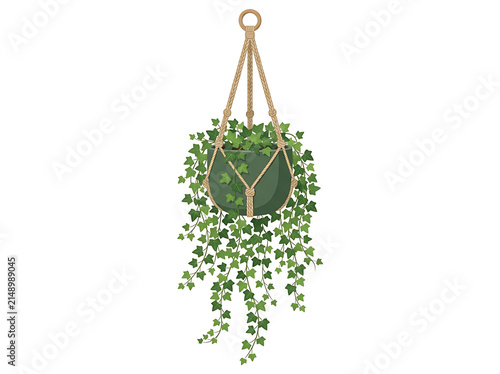 Hanging ivy planter with green leaves