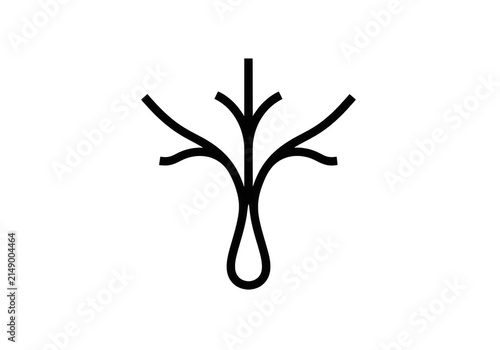 Simple root system diagram with five branches
