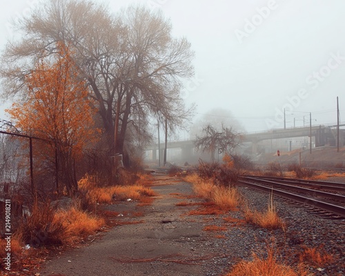 Eerie Autumn Fog Envelops Abandoned Railroad Tracks and Overgrown Path.