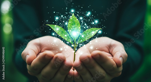 Sustainable Technology Growth: Hands Holding Glowing Plant with Digital Network