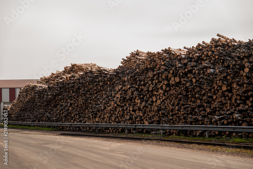 View of a massive stack of birch logs stored at the Port of Ventspils, with a metal guardrail in the foreground under an overcast sky in Ventspils, Ventspils Municipalit, Latvia.