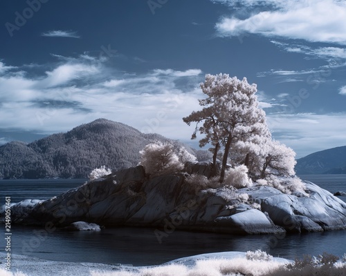 Infrared landscape of a rocky island with trees and mountain backdrop.