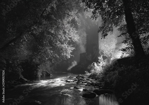 Mystical Forest Stream - A Black and White Dreamscape.