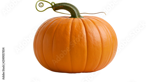 Fotografie Orange pumpkin with green stem and curly vine
