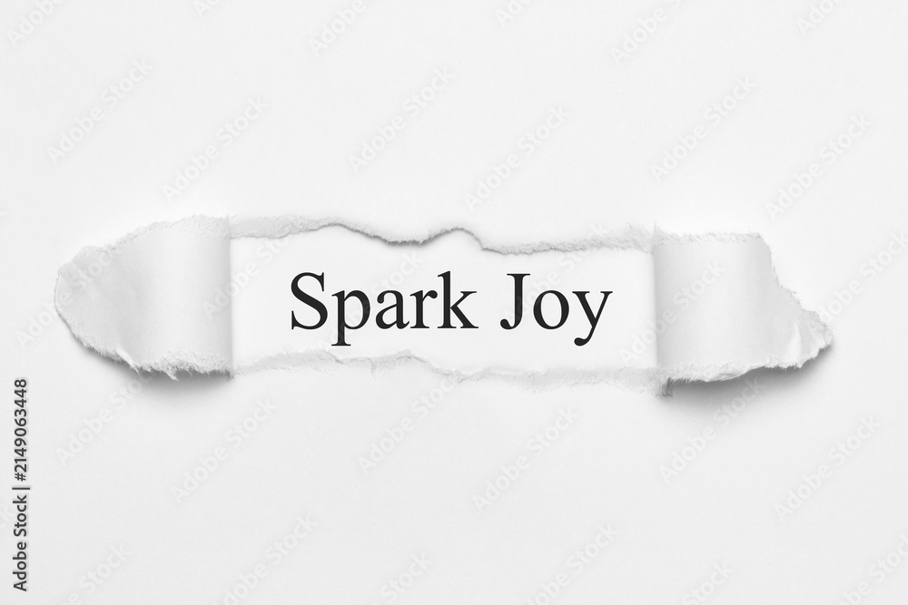 Obraz premium Spark Joy 