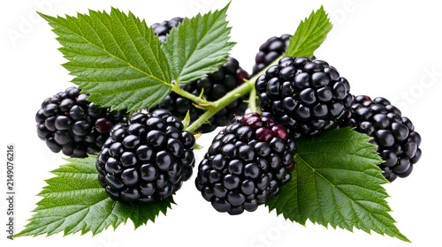 Foto Fresh ripe blackberries with green leaves on white