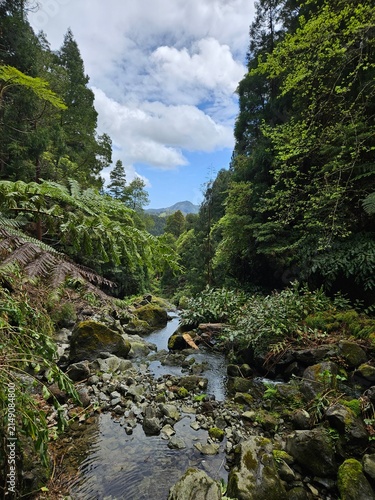 View over river and beautiful nature of Parque da Grená - Azores