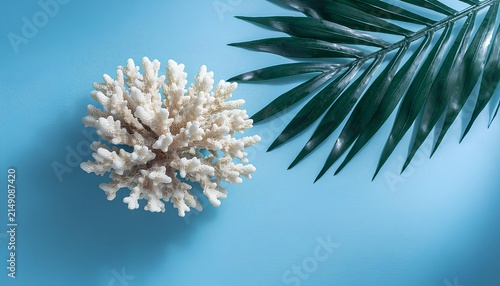 natural white coral branch and palm leaf on blue background copy space.