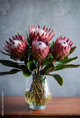 Four protea flowers in a gl...