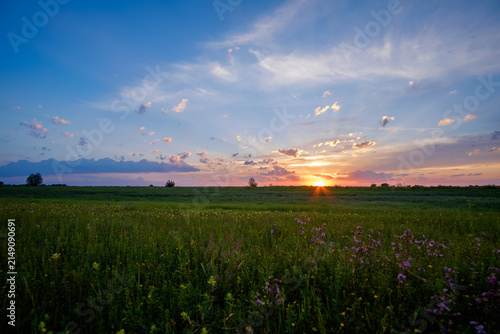 vibrant sunset over a lush green field under a dramatic blue sky with soft clouds