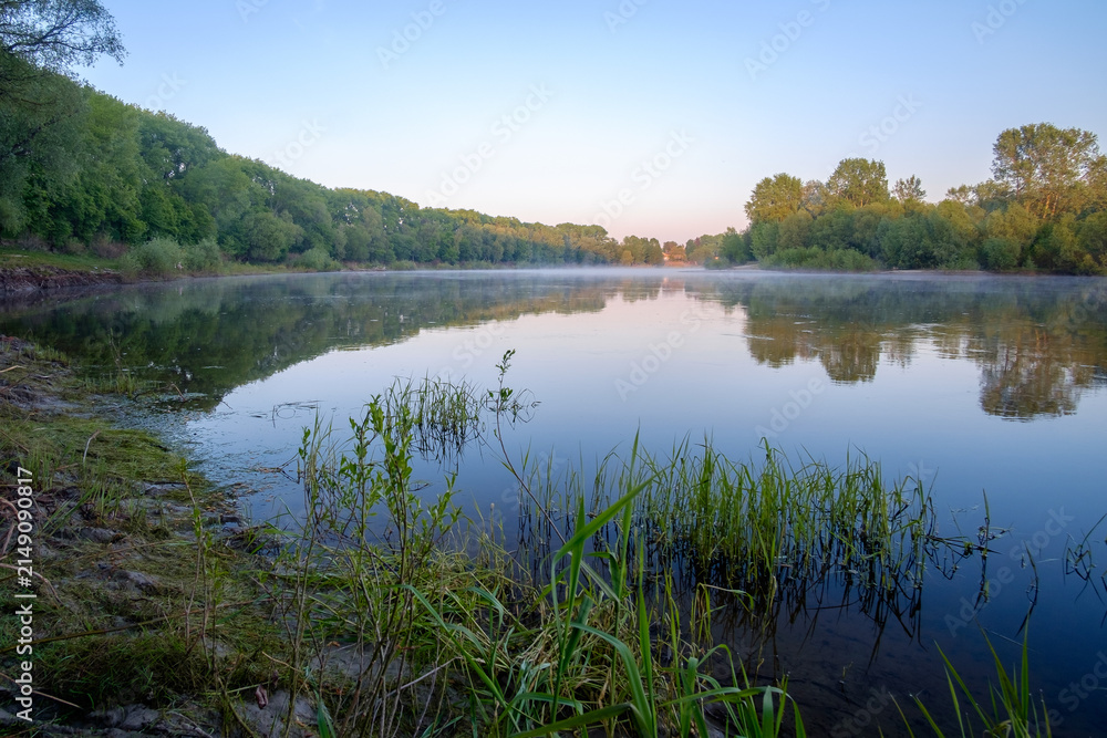 Obraz premium A serene river flows calmly at dawn, its smooth surface reflecting the lush green forest under a clear, soft sky