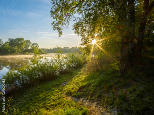 A sunlit dirt path winds along a misty riverbank lined with lush green bushes and trees as morning sunbeams pierce through the dense summer foliage