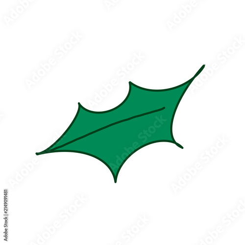 фотографія Cute hand drawn green holly leaf