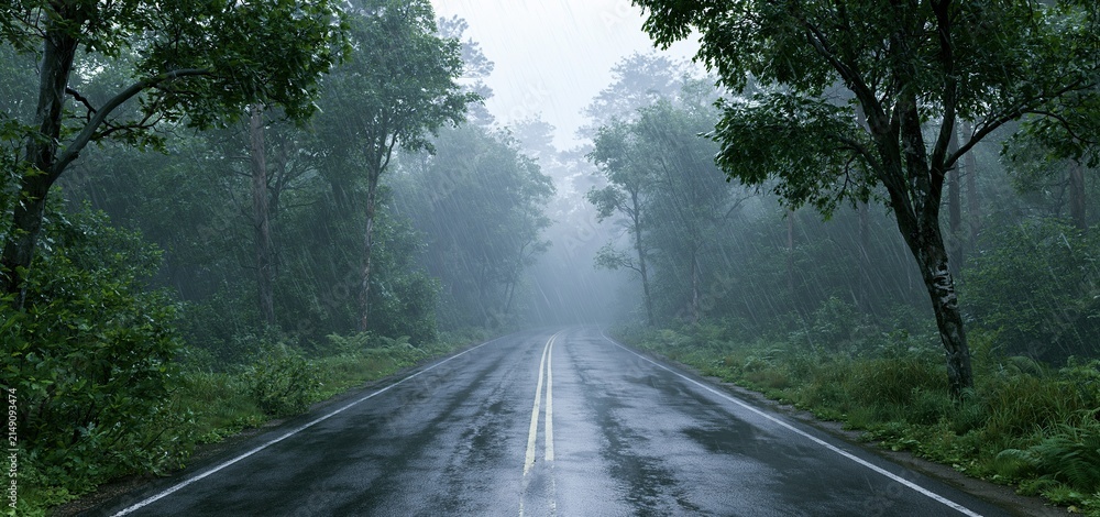 Obraz premium Through thick fog and heavy rain, a wet highway winds amid dense forest under stormy skies.