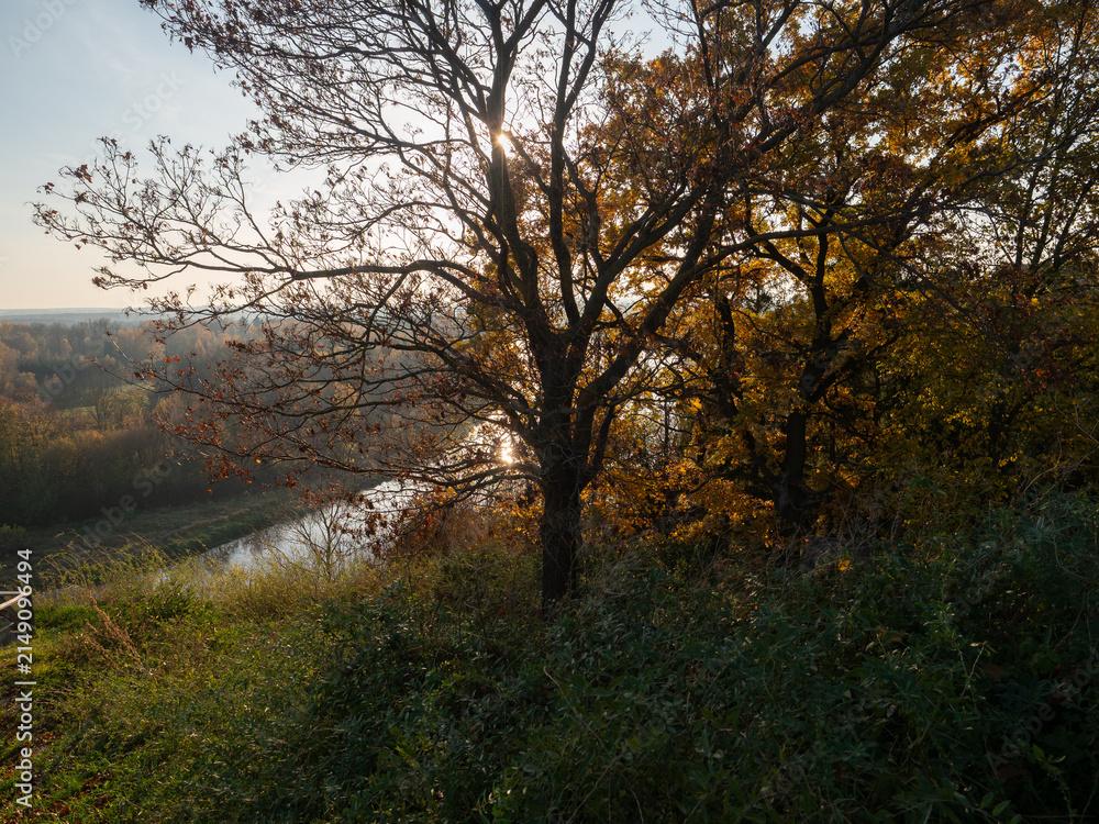 Fototapeta premium River Bug Valley Podlasie Poland