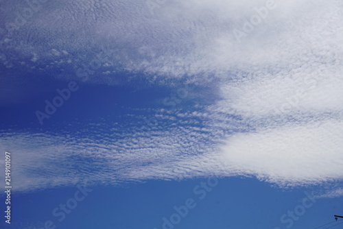 Bild auf Leinwand Cirrocumulus clouds: The image shows cirrocumulus clouds, also known as mackerel sky clouds