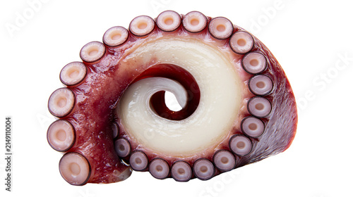 Foto Raw octopus tentacle with suction cups curled inwards