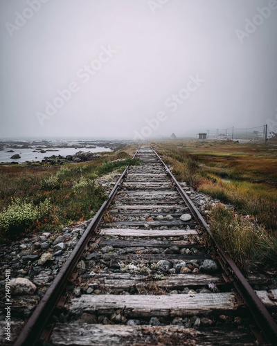 Eerie railway tracks stretching into the misty distance on a cloudy day.