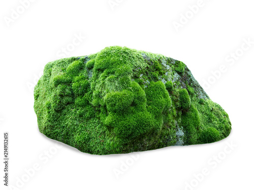 Obraz na płótnie large green mossy stone isolated on white background.