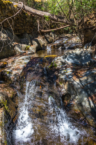 A small stream cascades over rocks in a forested mountain ravine