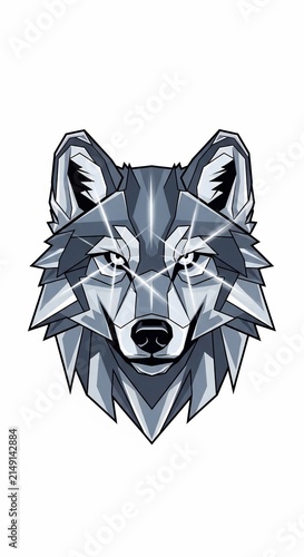 Geometric Wolf's Gaze