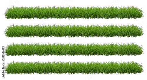 Four green leafy vegetables in a row