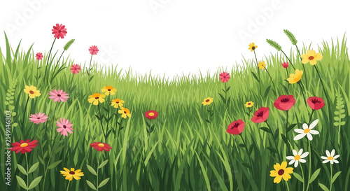 Bright flowers blooming in green meadow field