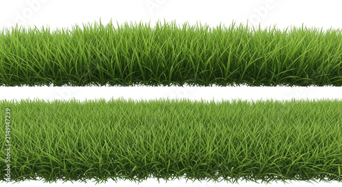 Close-up of fresh green grass texture