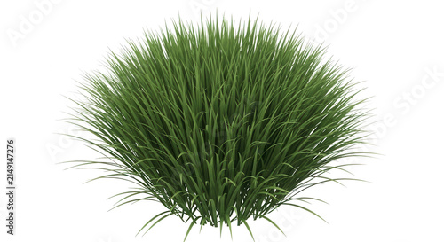 Close-up of green grass blades