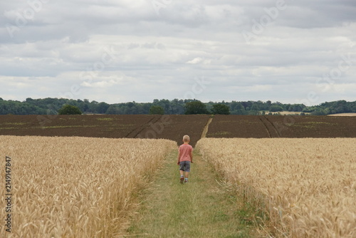 A child in the Fields, rural, village, suffolk, uk, around Haverhill, July 2026
