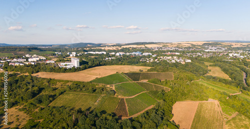 Aerial view of Trier Petrisberg with vineyards, lush greenery, and the university campus in the distance, Trier-Saarburg, Rhineland-Palatinate, Germany.
