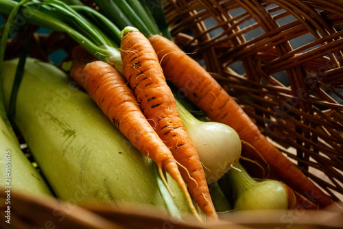 Fresh organic harvest of carrots and zucchini in wicker basket close up, raw vegetables with spring onions from backyard farm, local eco friendly agriculture and healthy eating concept