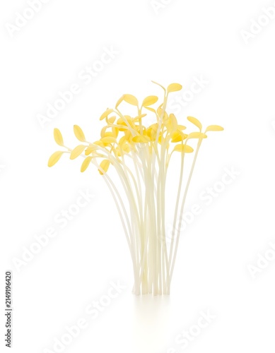 Delicate white flowers in clear glass vase.