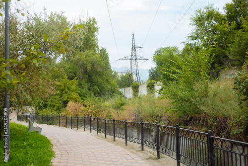 Vertical photograph of a landscaped urban park walkway bordered by lush trees, decorative fencing, and overhead power lines captured in soft natural daylight