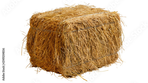 Rectangular hay bale tied with wire