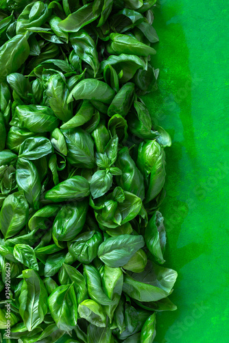Background with fresh basil leaves.