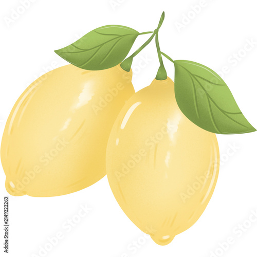 Two fresh yellow lemons with green leaves digital illustration