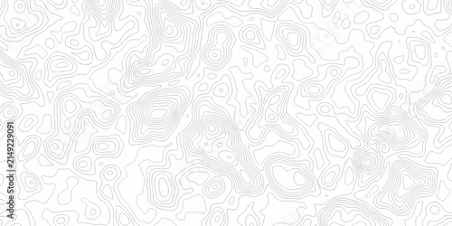 Black and white lines seamless Topographic map patterns, topography line map. Vintage outdoors style. The stylized height of the topographic map contour in lines and contours isolated on transparent.