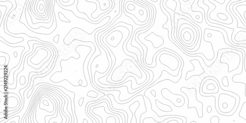 Black and white lines seamless Topographic map patterns, topography line map. Vintage outdoors style. The stylized height of the topographic map contour in lines and contours isolated on transparent.