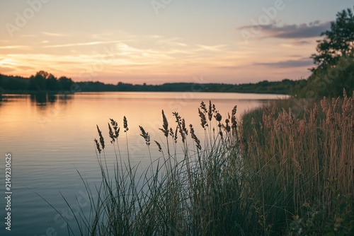 Golden hour sunset over a tranquil lake with reeds in the foreground