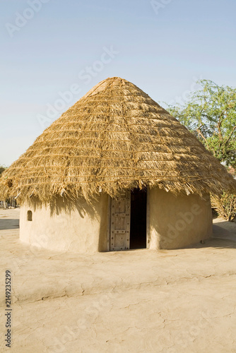 Cuadro en lienzo thatched roof house