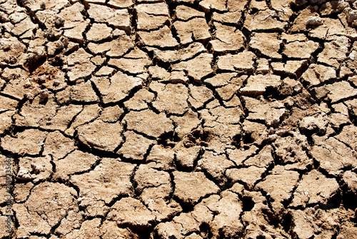 dry cracked earth
