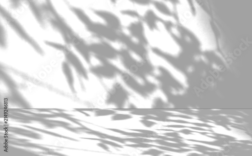 Shadow Overlay Windows shadow overlay PNG