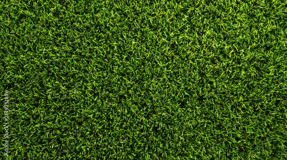 Obraz premium Top down view of vibrant green grass texture forming a natural background