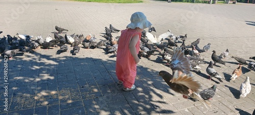 High angle view of toddler child surrounded by flock of pigeons on city square